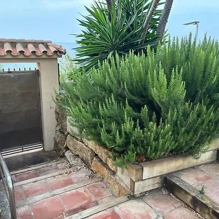 Apartamento Lunaymar, 1º Línea Mar Con Piscina